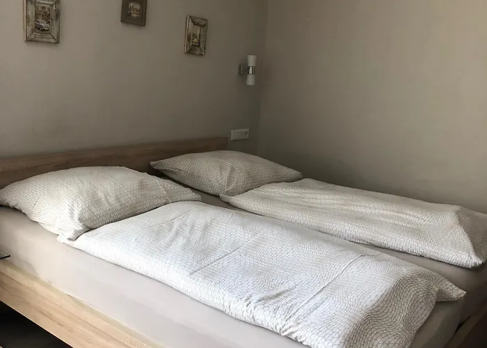 Woellbacher Tor 호텔 3*